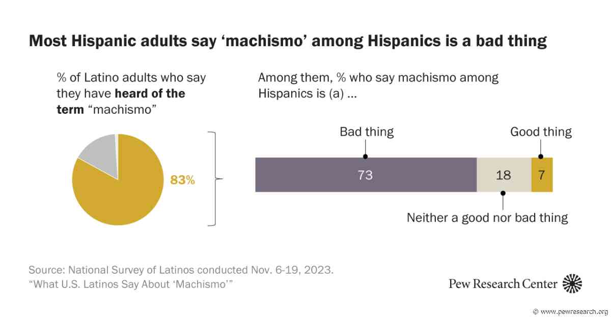 3. U.S. Latinos’ views of and experiences with ‘machismo’