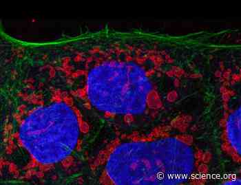 Bile acid–induced metabolic changes in the colon promote Enterobacteriaceae expansion and associate with dysbiosis in Crohn’s disease | Science Signaling