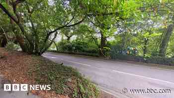 Two men killed in Okehampton car crash