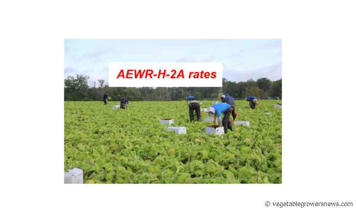 AEWR rates increased by DOL