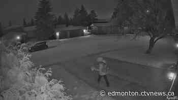 Caught on camera: Porch pirate steals dirty diapers from Edmonton step