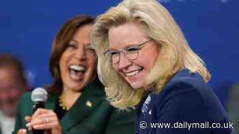 Liz Cheney accused of breaking 'numerous federal laws' as GOP calls for FBI probe