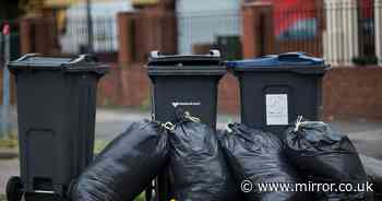 Bin collections to change in just 3 months - with new rules coming in for every home