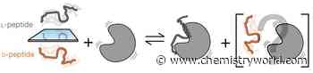 Debunked dogma: disordered proteins disregard ligands’ chirality