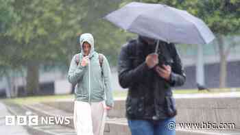 More windy weather predicted and a prone pigeon