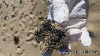 Mysterious objects wash up on NSW south coast beaches 350km from Sydney