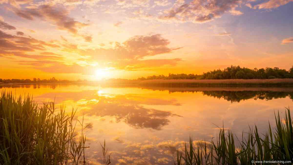 Zo ga je in 4 weken naar minder stress & meer focus