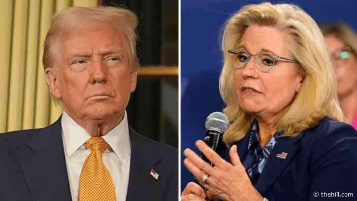 Trump: 'Liz Cheney could be in a lot of trouble'