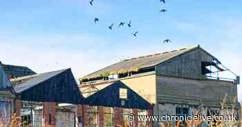 Housing plans outlined for North Shields derelict factory site