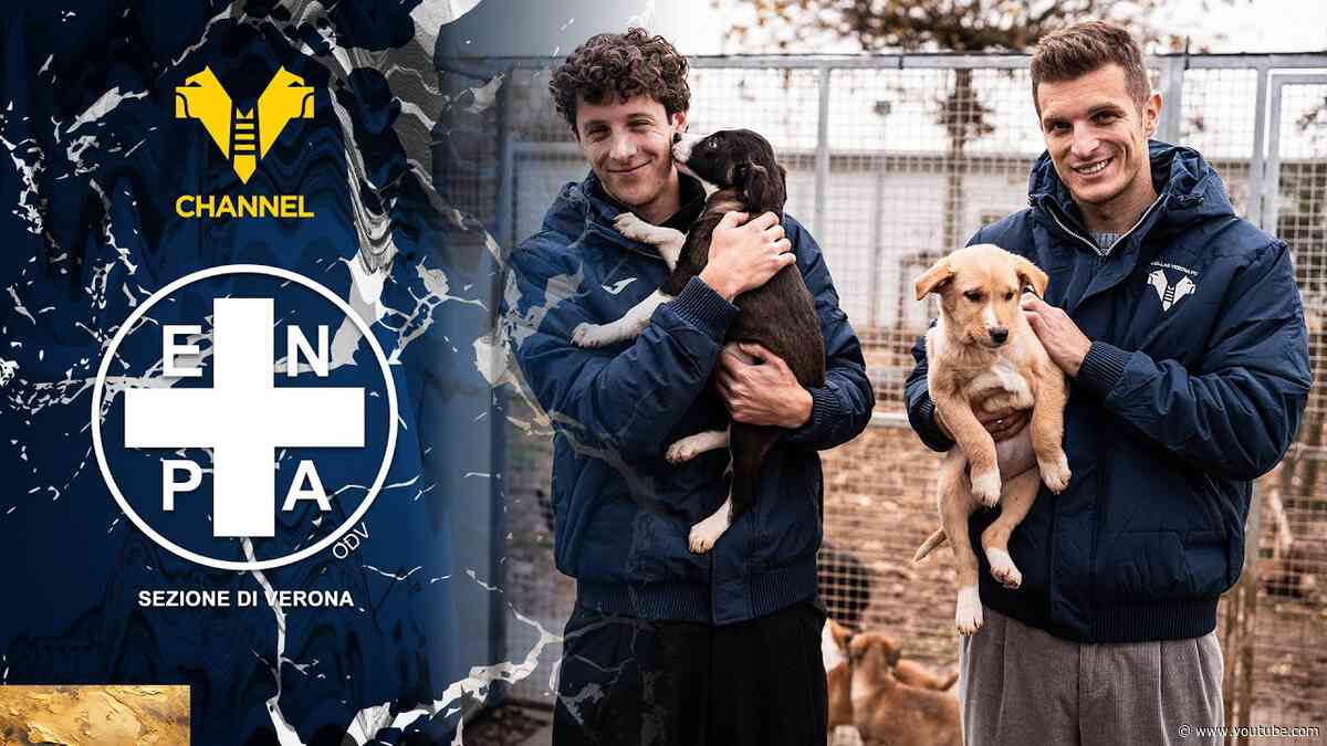 Il Verona scende in campo al fianco di ENPA con sette cuccioli del Rifugio del Cane e del Gatto