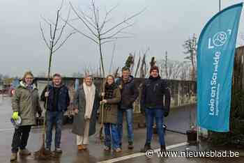 90 inwoners ontvangen gratis klimaatboom