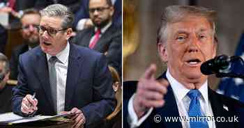 Keir Starmer and Donald Trump vow to strengthen 'special relationship' amid Elon Musk fears