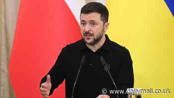 Zelensky admits Ukraine 'does not have the strength to recover' territory it has lost to Russia