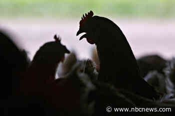 U.S. reports first severe human case of bird flu, in a patient hospitalized in Louisiana