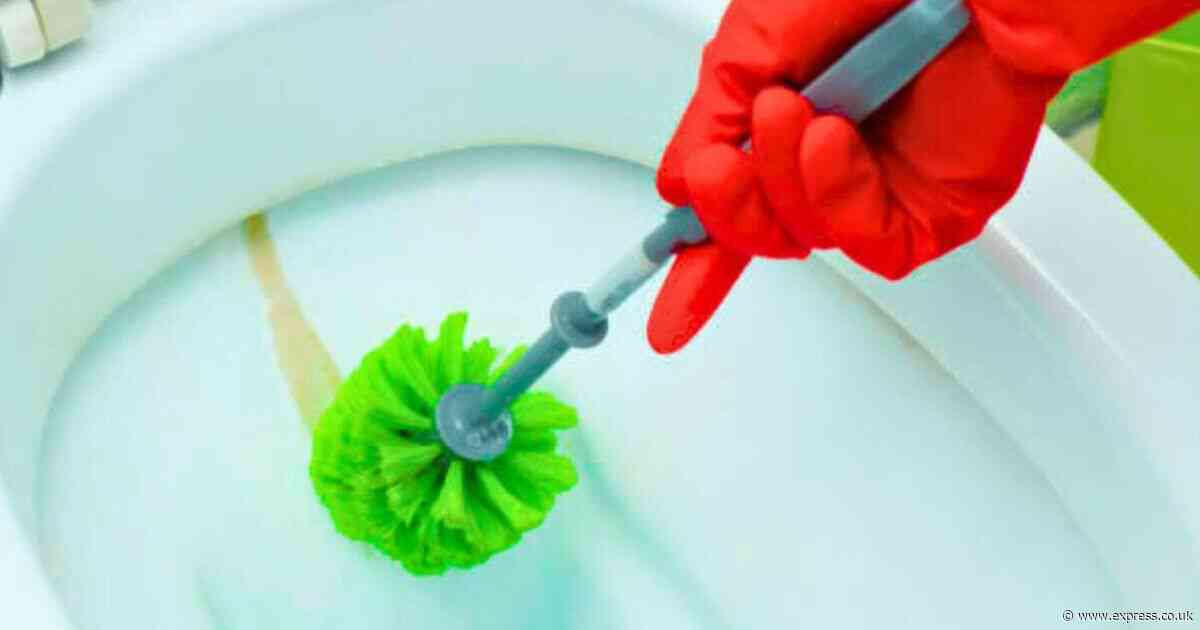 Remove toilet bowl limescale in 10 minutes with 1 household item - not vinegar or bleach