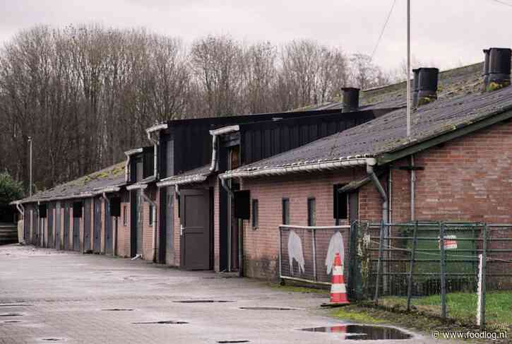 De ondernemendste boeren stoppen ondanks prima prijzen