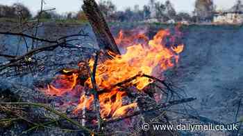 Wood you believe it? Just four fines are issued by councils for illegal burning - despite 100 complaints being made a week