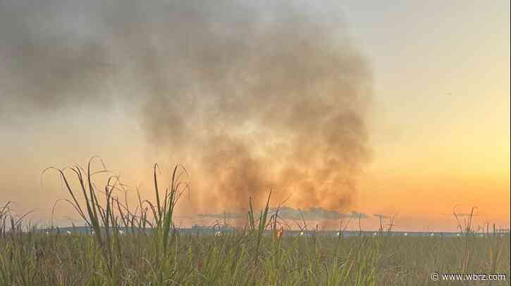 Burned body found in Addis sugarcane field