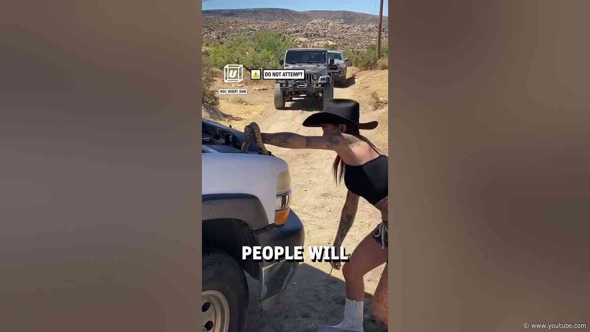 Getting a snake out of an engine 🐍🚗         🎥: Instagram / high_desert_dani