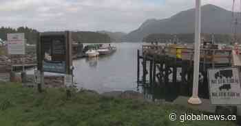 Tofino harbour officials call them ‘squatters.’ They say they’re being ‘banished’