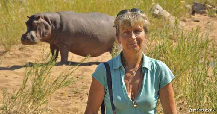 How an English woman ended up becoming ‘the Hippo Lady’ of Zimbabwe