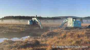 New peatland restoration grant opens for Welsh farmers