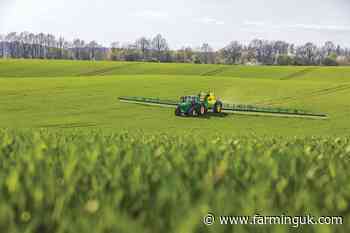 UK wheat growers have new herbicide at their disposal next spring