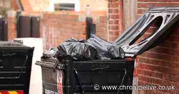 New bin collection laws in England set to be introduced by Labour in March after 'review'