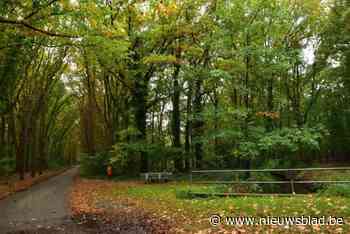 Winterwandeling trekt door Zwaneven en langs Pinbrug