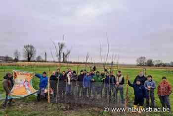 Landelijke Gilde geeft workshop over aanplanting van fruitbomen