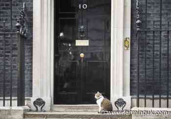 Christmas appeal asks farming children to write letters to PM