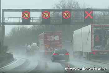 Te veel automobilisten negeren snelheidsverlaging op E313 in Deurne