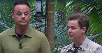 I'm A Celebrity's Ant and Dec to return to ITV 'within weeks' after break for Christmas