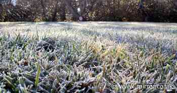 Expert's simple trick to keep your lawn green in winter - and it's a must-do now