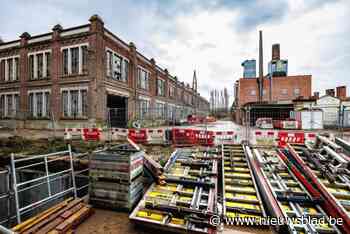 Projectontwikkelaars hijsen symbolische kerstboom op werf van project MALT: “Je moet er maar aan willen beginnen”