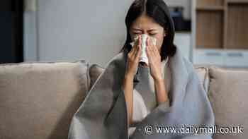 FLU ALERT: Warning as hospitalisations surge again - up 40 per cent as 'quad-demic' sweeps Britain