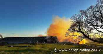 Firefighters tackle Northumberland farm blaze as 'large amount of hay bales' caught fire