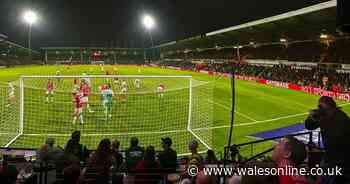 Wrexham v Birmingham to have mind-blowing live screening at virtual stadium