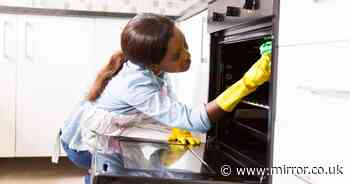 Cleaning fans ditch vinegar and baking soda for 'natural' degreaser