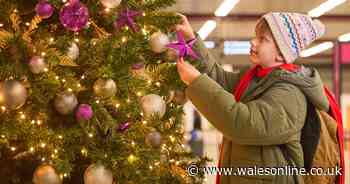 Home Alone airport scene mirrors real-life airport rush, study shows