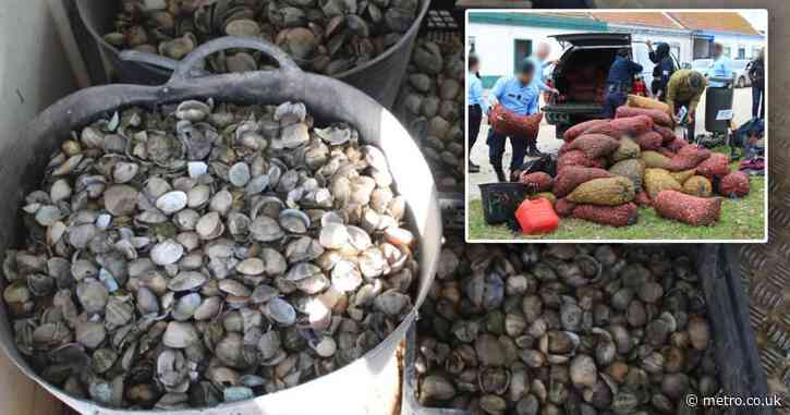 Contaminated seafood worth £8,000,000 seized from criminal gangs