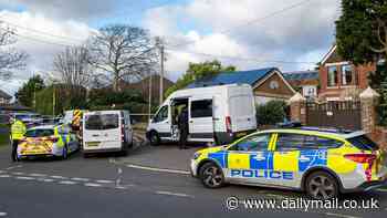 Schoolboy, 15, and teenager, 18, arrested on suspicion of murder after man stabbed to death in village attack