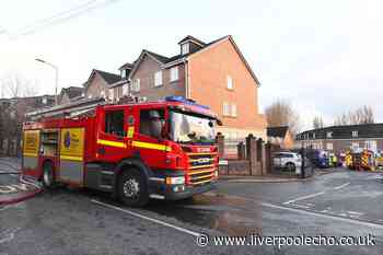 Cannabis farms found after block of flats goes up in flames