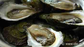 Dozens get sick with 'norovirus-like' illness after eating raw B.C. oysters