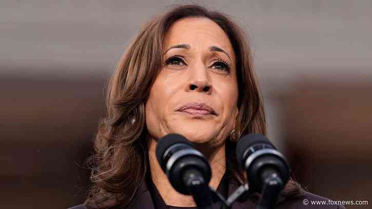 DNC fundraiser roasts party's 'delusions' about a Kamala Harris political comeback: 'Not what America wants'