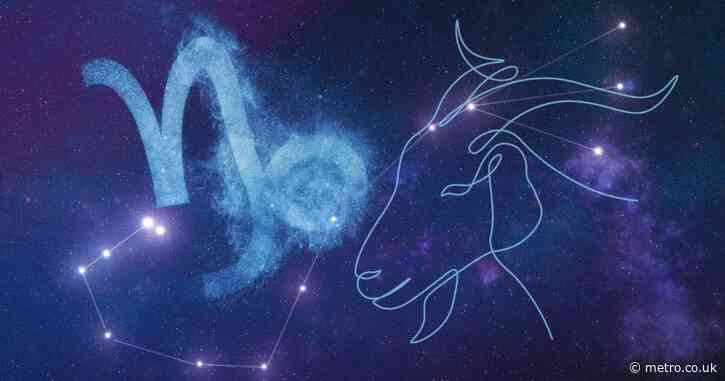 Capricorn season reveals your goal for 2025 — your star sign’s tarot horoscope