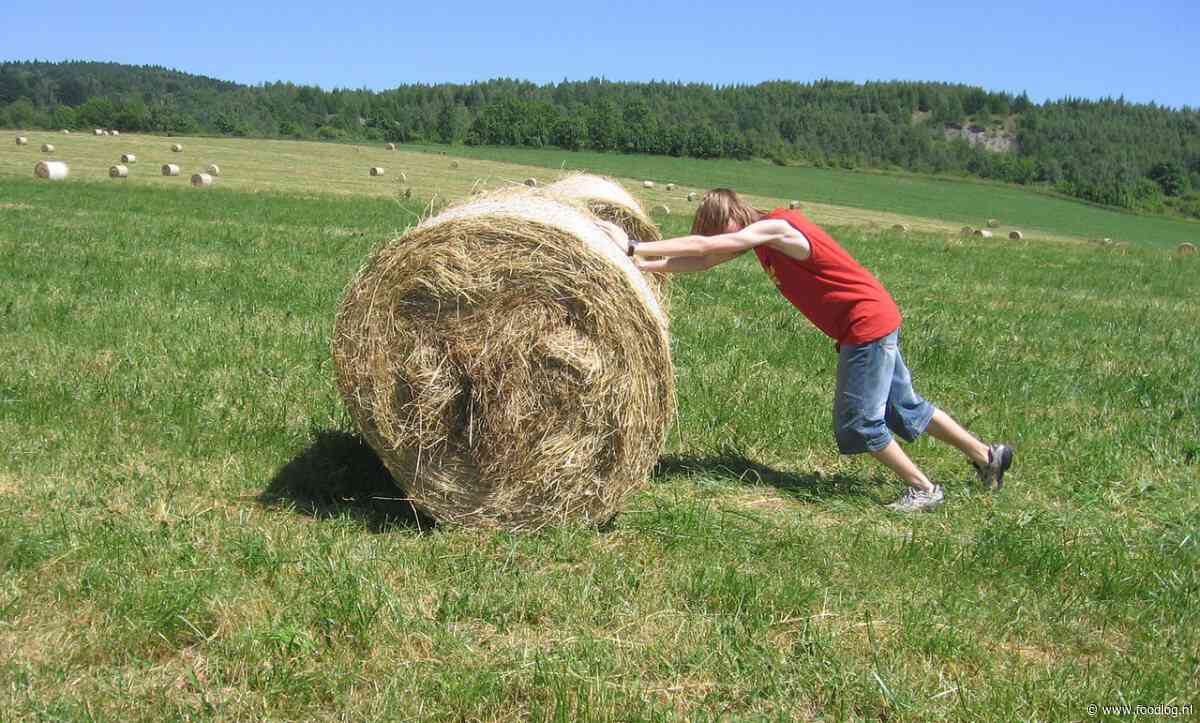 Te weinig jonge boeren