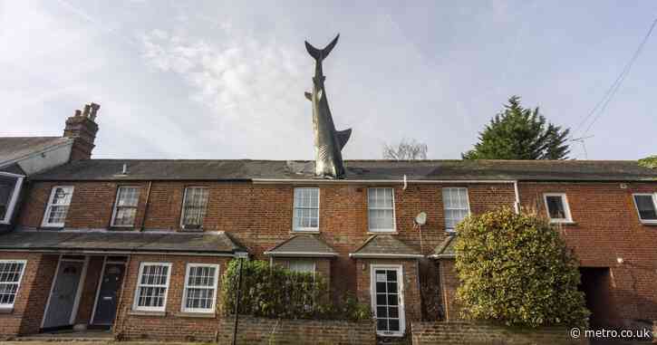 Row erupts after council bans house with 25ft shark sticking out of its roof from Airbnb