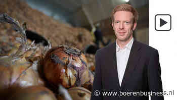 Uienmarkt komt langzaam aan in de kerstsferen