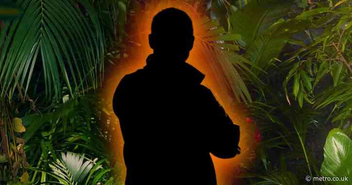 I’m a Celebrity star returns to major TV set after jungle success